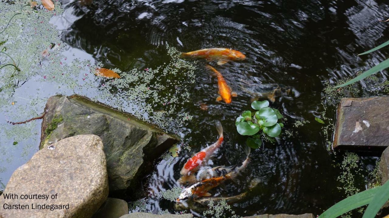 贝尔特夏切尔度假屋 圣让莱托马 外观 照片